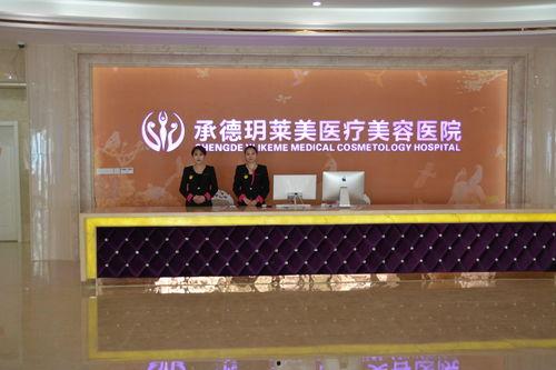 承德莱美最新爆料,最新爆料背后的故事与真相