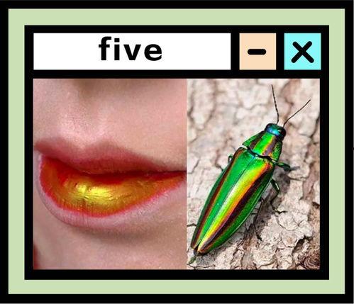 日本玉虫,探寻日本传统工艺的瑰宝