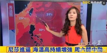 莲美恋护士无码bt,揭秘神秘护士的激情诱惑