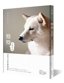 动物沟通师 日本,日本动物沟通师的神奇之旅