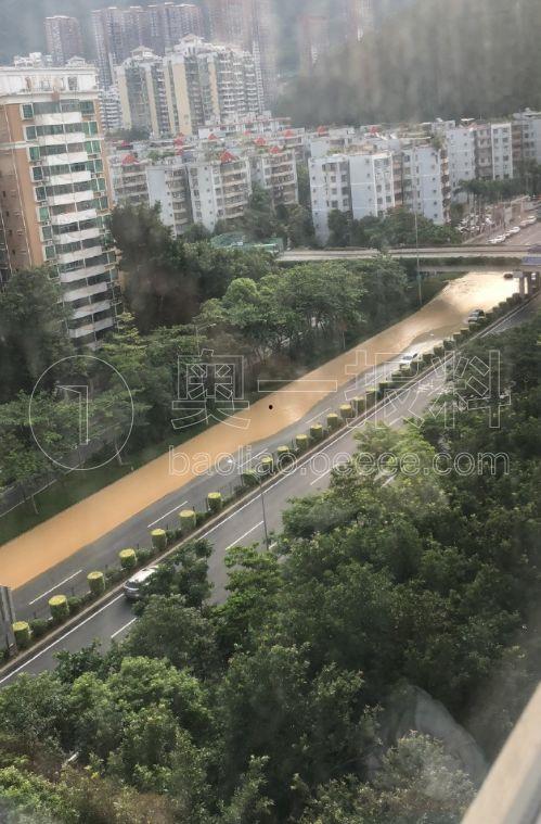 罗沙最新爆料公司有哪些,揭秘公司神秘面纱背后的秘密