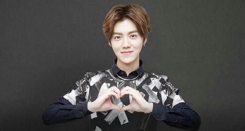 明星对李安有多尊敬