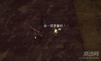 无码触手合集种子,无码触手合集的神秘之旅