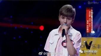 2017明星选秀,璀璨新星闪耀舞台，梦想舞台见证青春绽放