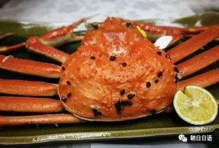 日本海鲜美食节目,探寻日本美食文化的海洋魅力