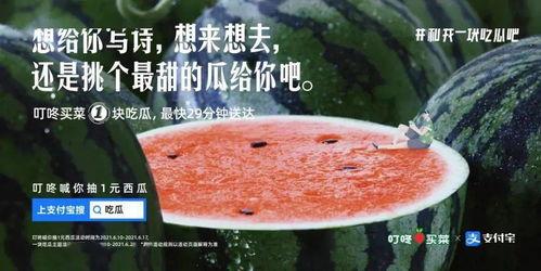 吃瓜文案娱乐圈