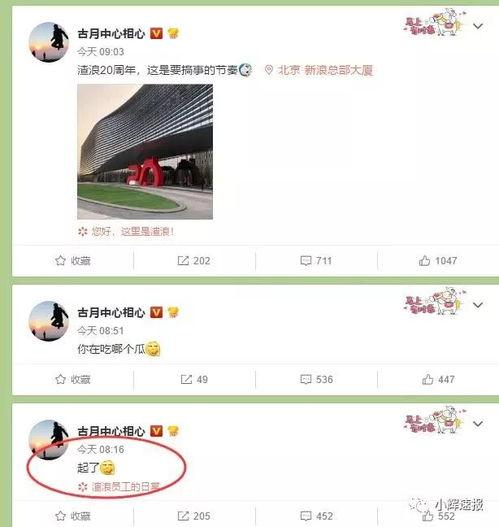 吃瓜娱乐微博头像图片
